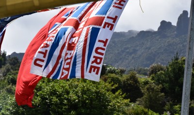 Flags and the sacred mountain of Maungapohatu