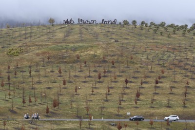 Image of The National Arboretum - 'Wide, Brown Land' sculpture