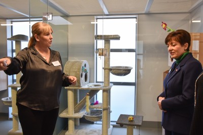 Dame Patsy Reddy and Julie Chapman looking at the new cat homes