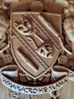A close-up of the shield