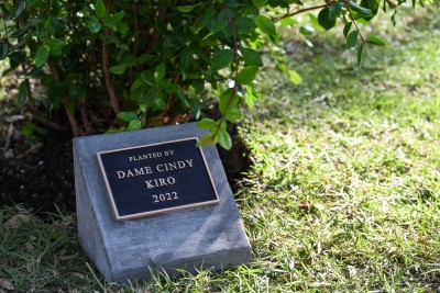 The plaque marking Dame Cindy's pōhutukawa