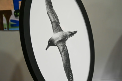 The beautiful albatross etching awarded to the Supreme Award recipient