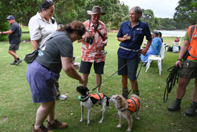Dame Cindy meeting Conservation dogs