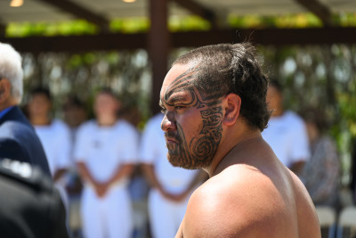 Warrior after laying down the wero