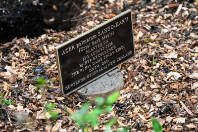 The commemorative plaque for Dame Cindy's new tree
