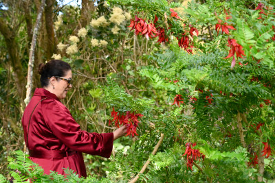 Dame Cindy admires the kākābeak