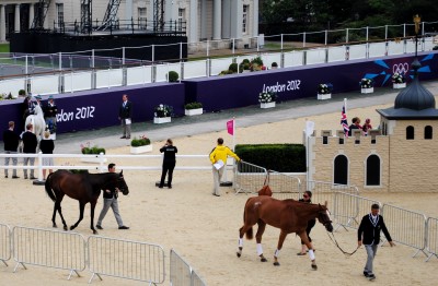 Equestrian Trot Up - 2012 London Olympic Games.