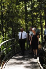 Walking the Manginangina Kauri Walk in Puketi Forest.